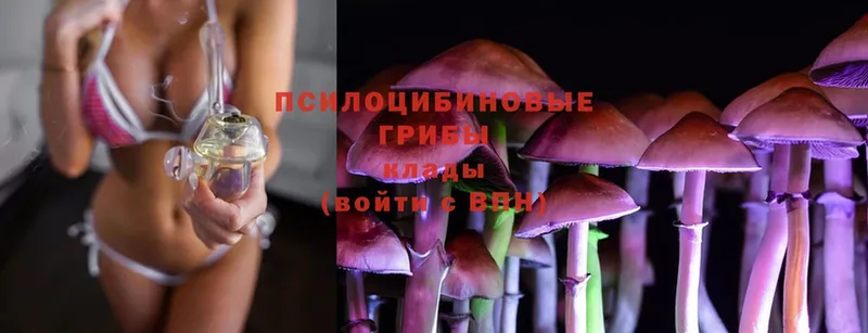 Псилоцибиновые грибы Magic Shrooms  Полярный 